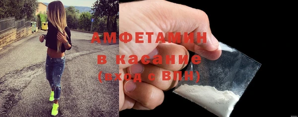 дживик Няндома