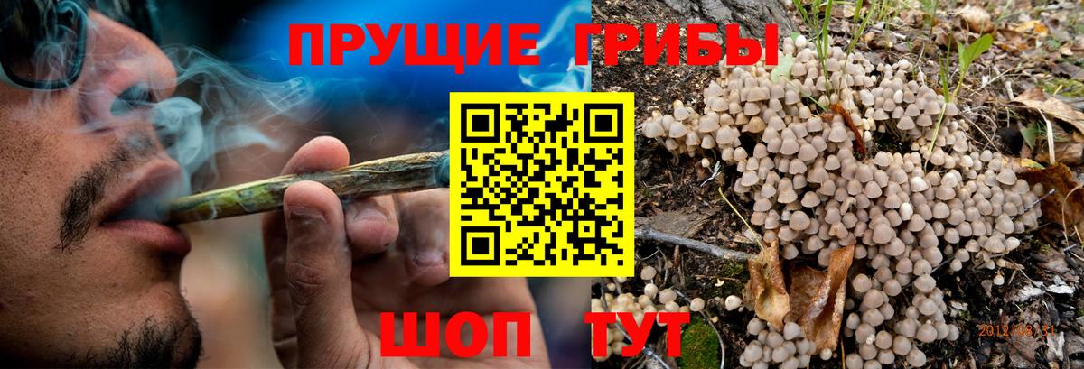 Галлюциногенные грибы Psilocybe  Вход с VPN  Верхняя Салда 
