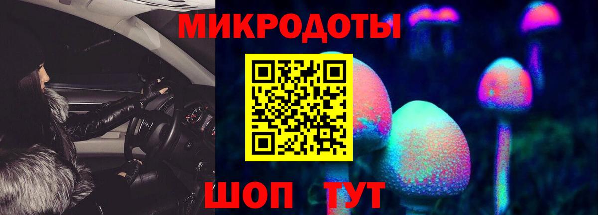 Галлюциногенные грибы Cubensis  Псилоцибиновые грибы Psilocybine cubensis  Верхняя Салда 